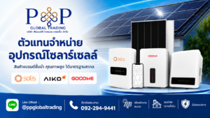 P&P Global Trading